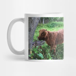 Scottish Highland Cattle Calf 2076 Mug